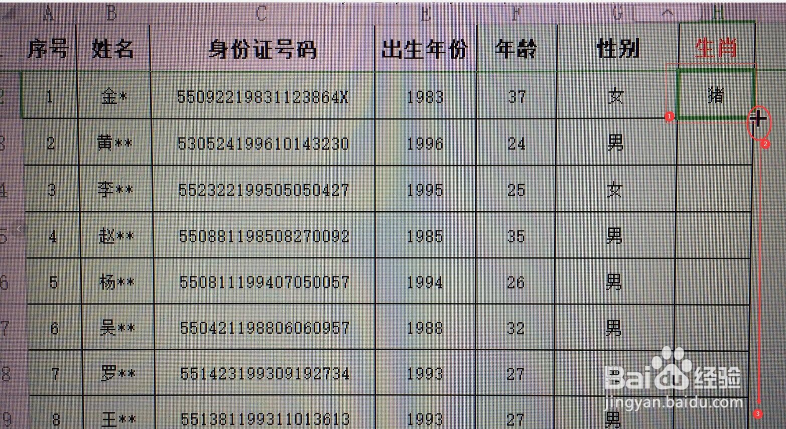 EXCEL怎样通过身份证号码快速提取生肖信息