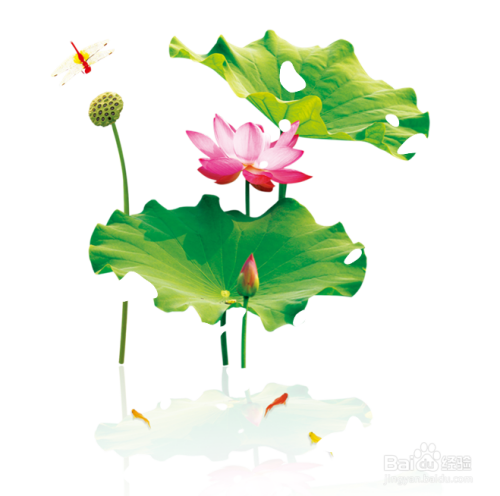 PS绘制水滴教程