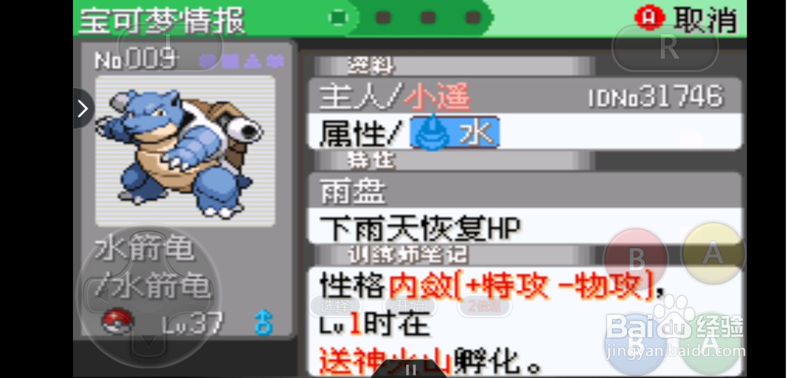 口袋妖怪雨天队介绍