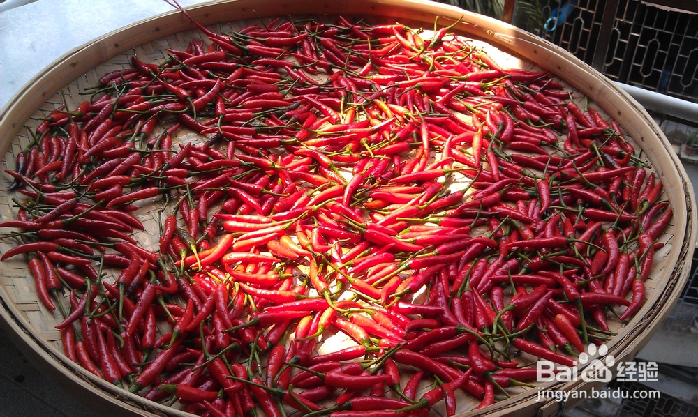 香辣十足 万能的剁辣椒