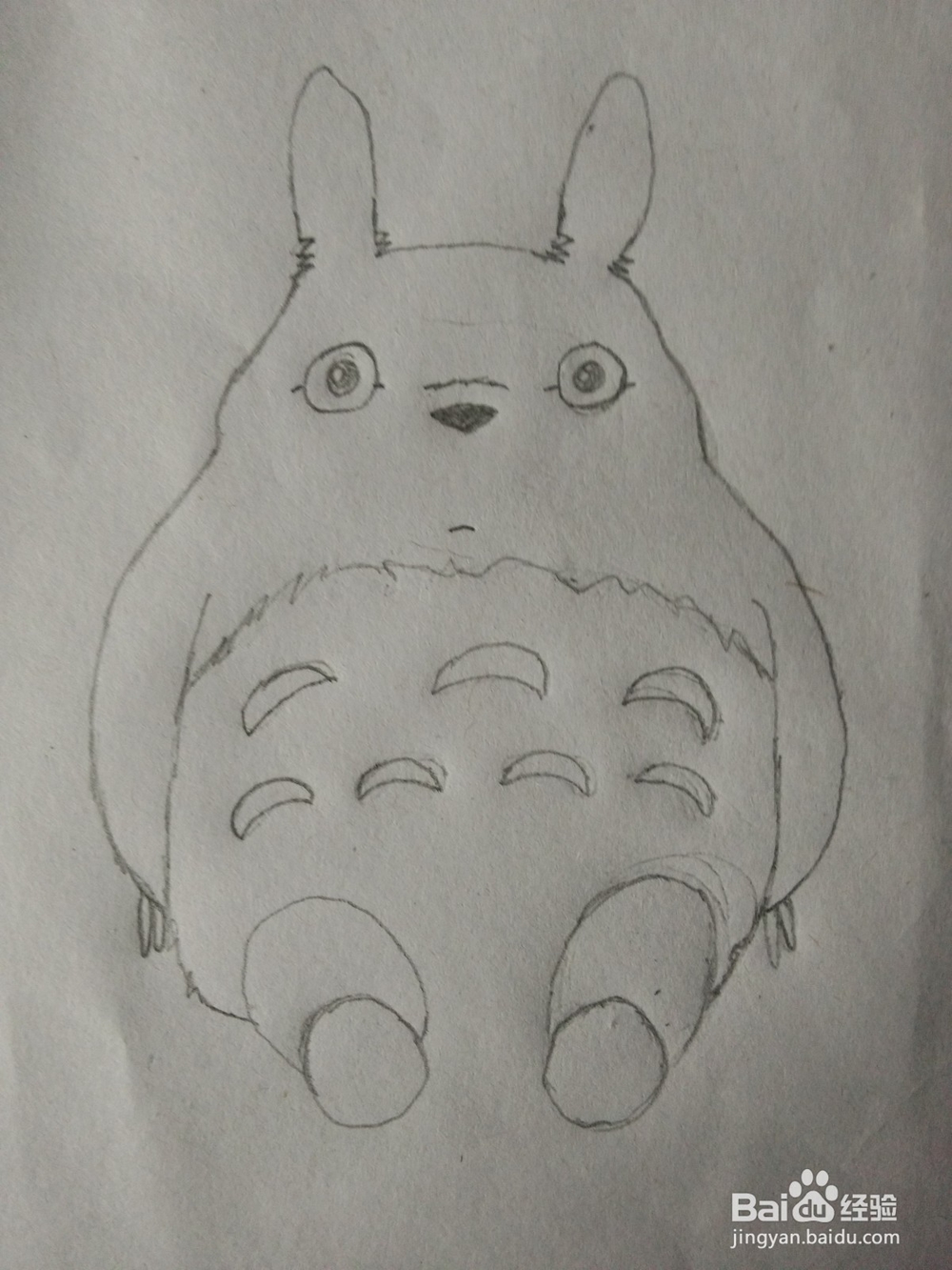 简笔画——怎么画龙猫