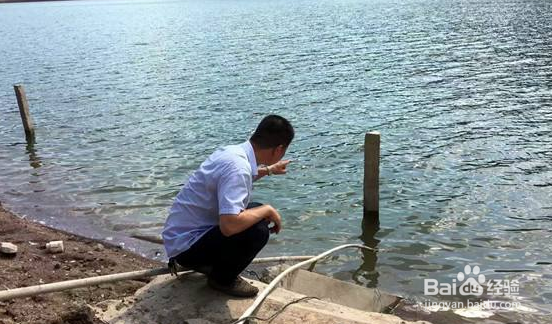 在水产养殖中,如何进行疾病的预防?