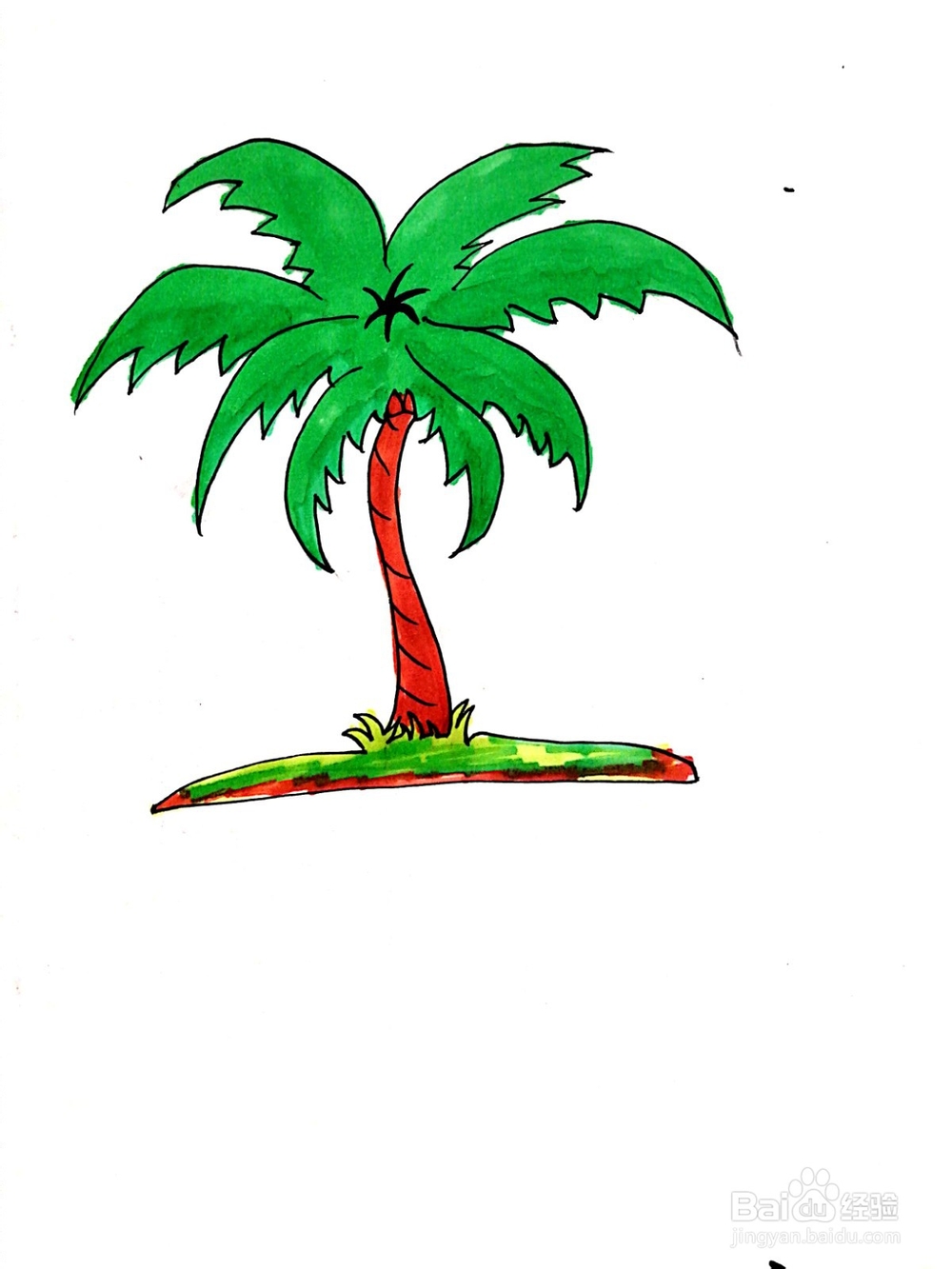 简笔画棕榈树图片