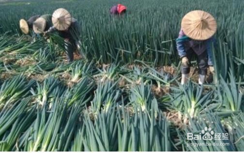 滞销商品的处理办法