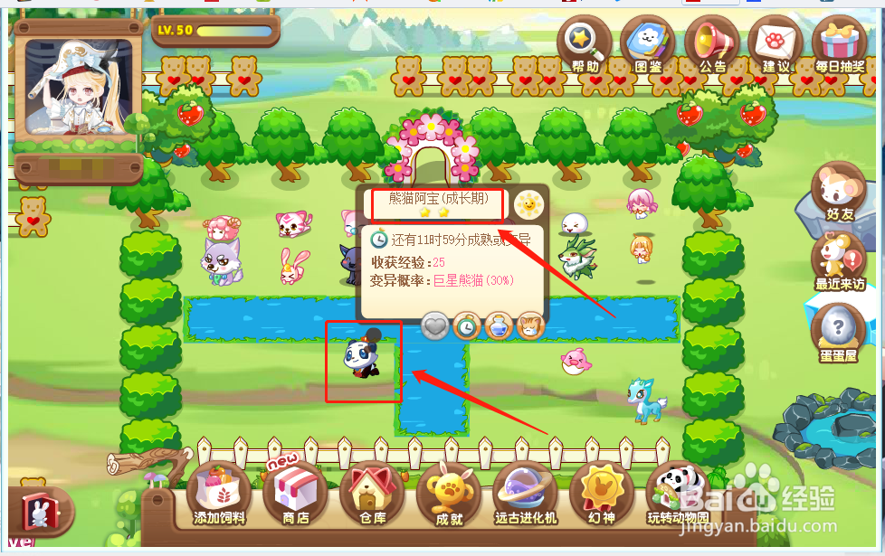 奥比岛中的动物巨星熊猫怎么获得