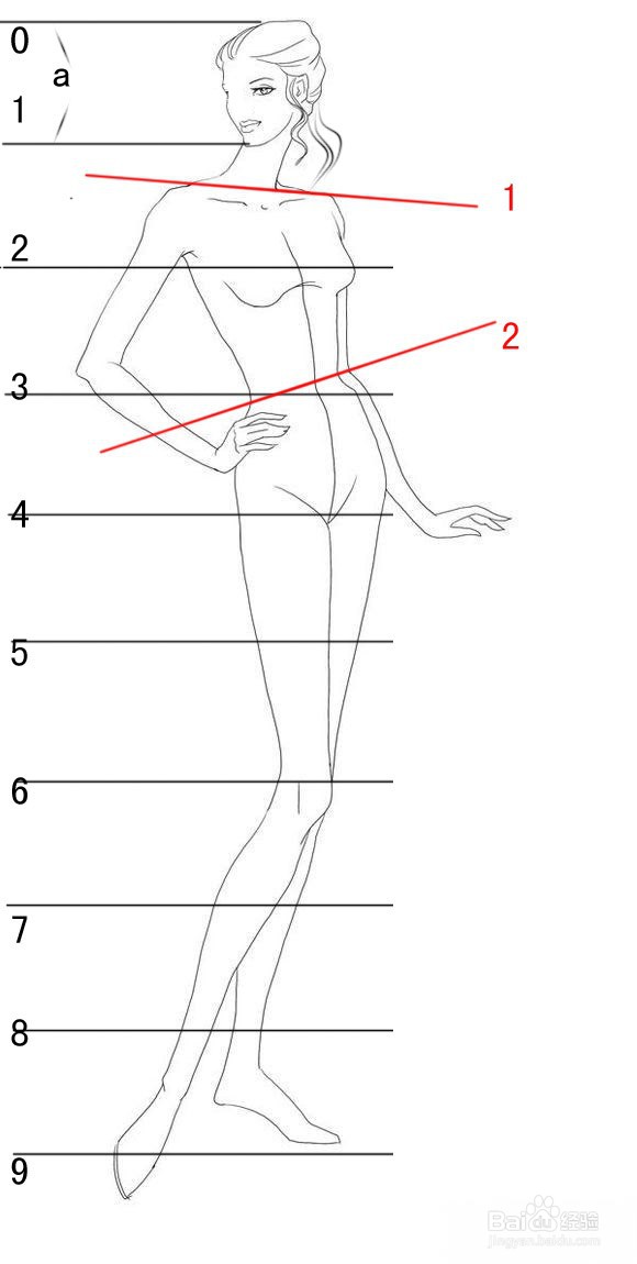 零基础自学服装设计（之一）---如何画人体