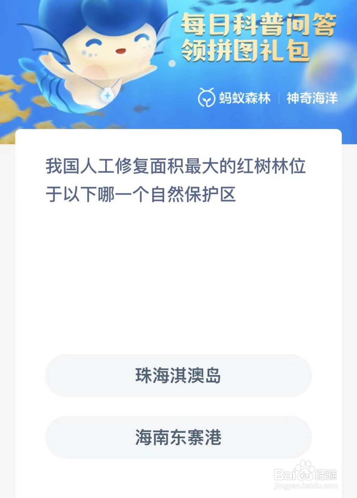 神奇海洋我国修复面积最大红树林位于自然保护区