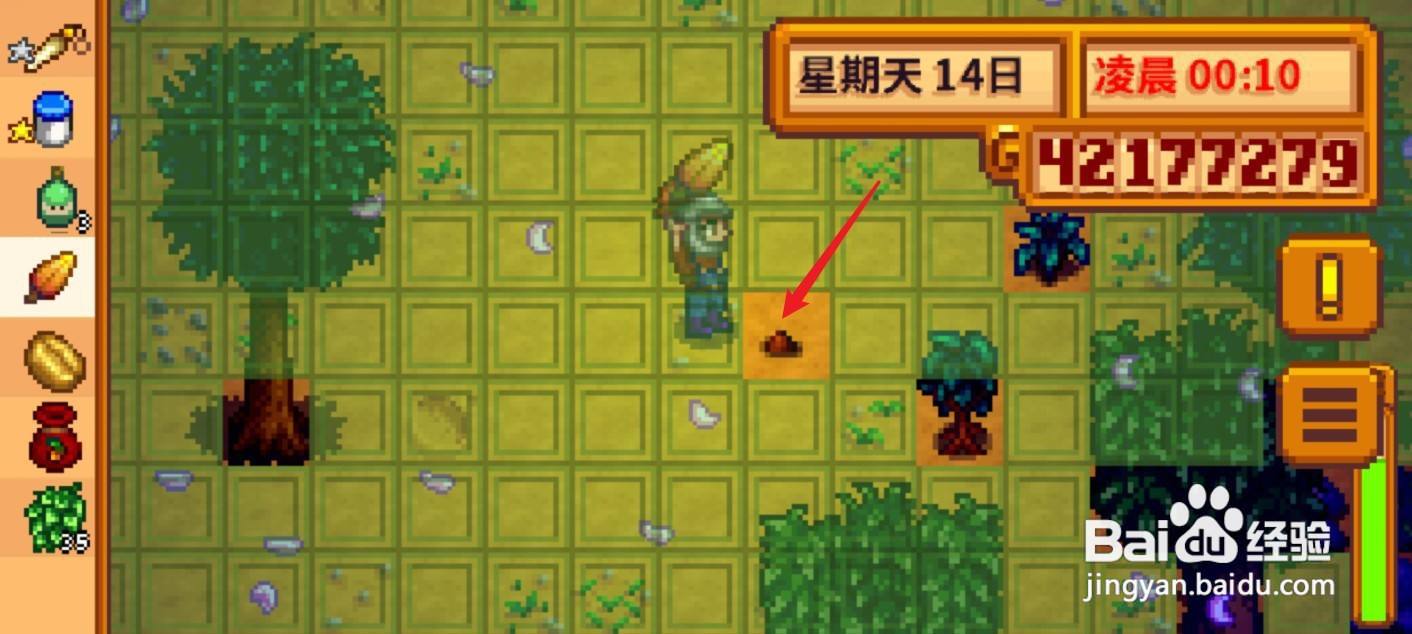 星露谷物语硬木怎么获得