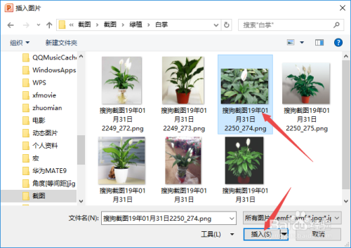 在PPT中如何将图片裁剪为各种形状