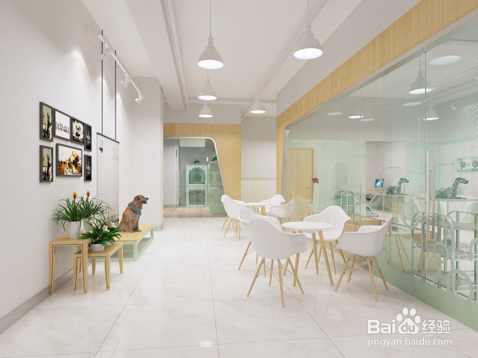 开个宠物店一月能赚钱？