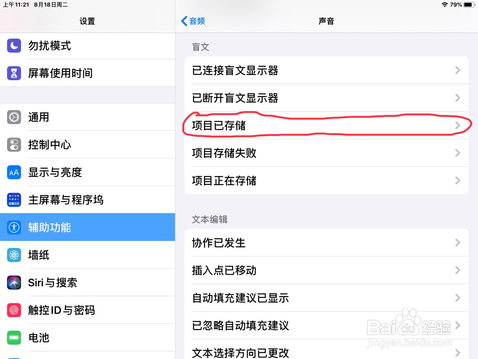 iPad怎么在旁白设置项目已存储的预览