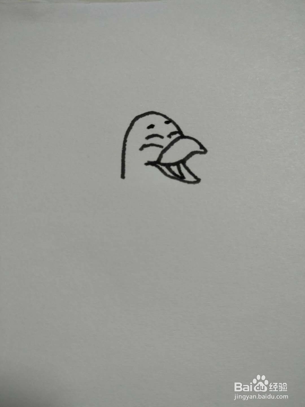 母鸡的简笔画法（四）
