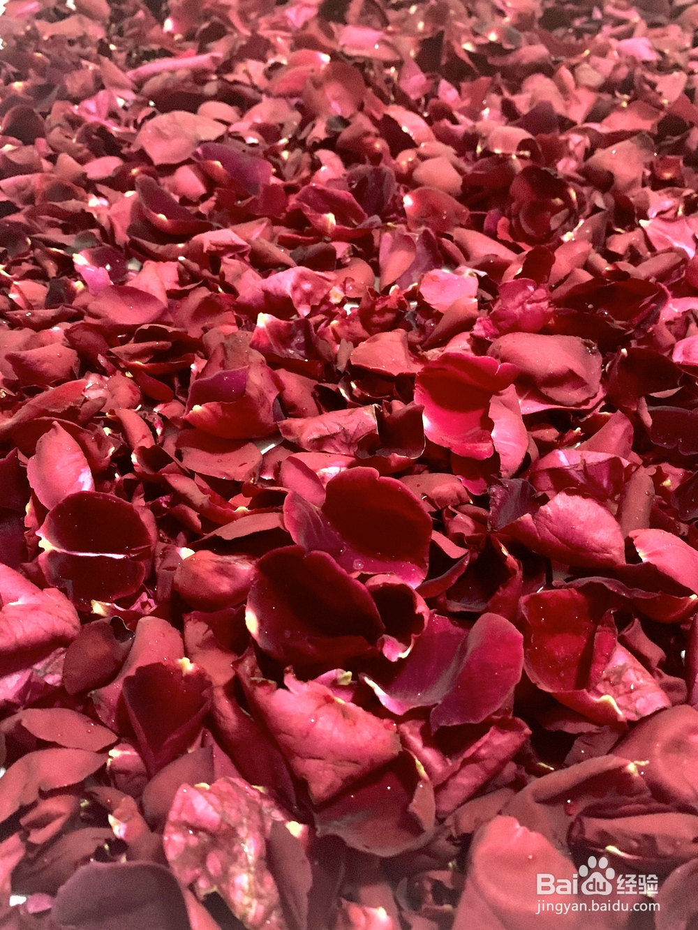 又酥又香的鲜花版玫瑰花酱自制酸奶