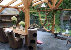 如何经营好一个猫舍