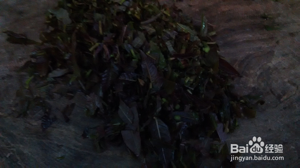 香脆辣猪肉丁——美味下饭菜