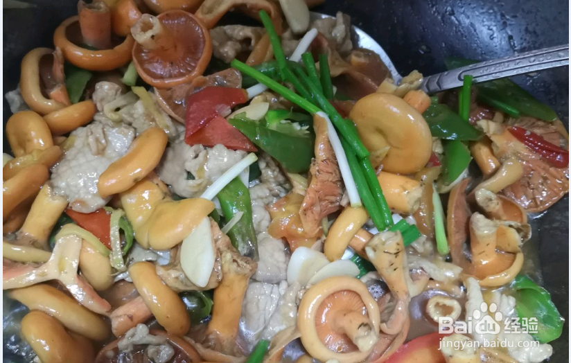 紫花菌怎么炒好吃