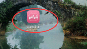 哔哩哔哩里的贝壳币如何进行提现