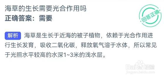 海草的生长需要光合作用吗？神奇海洋1.22答案