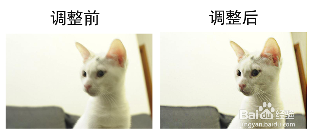 PS如何将模糊照片变清晰