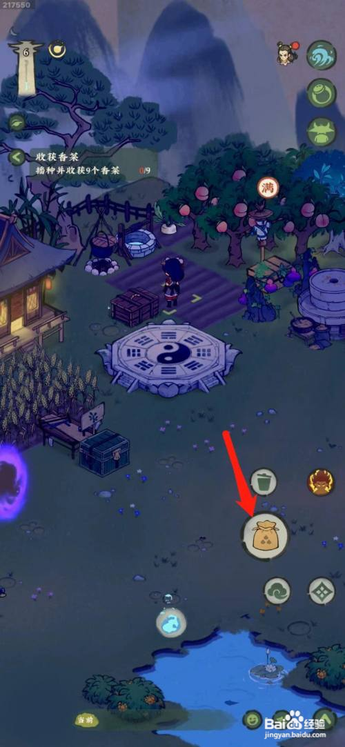 仙山小农怎么种植香菜