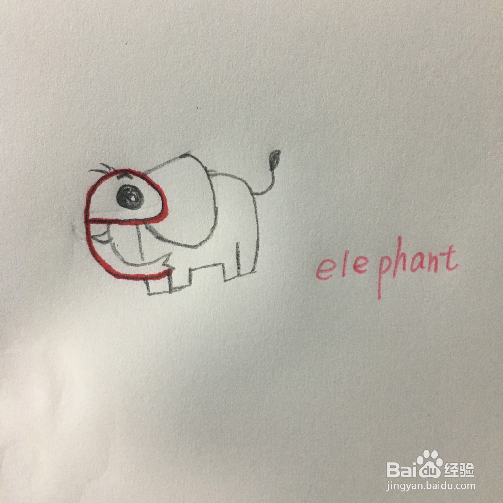 字母E简笔画画大象怎么画