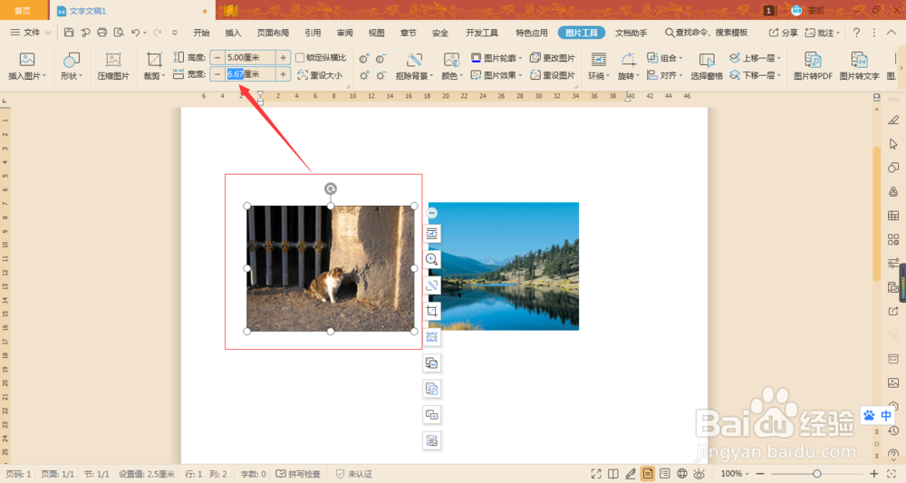 Word如何让两张图片在不裁剪的情况下宽高相同
