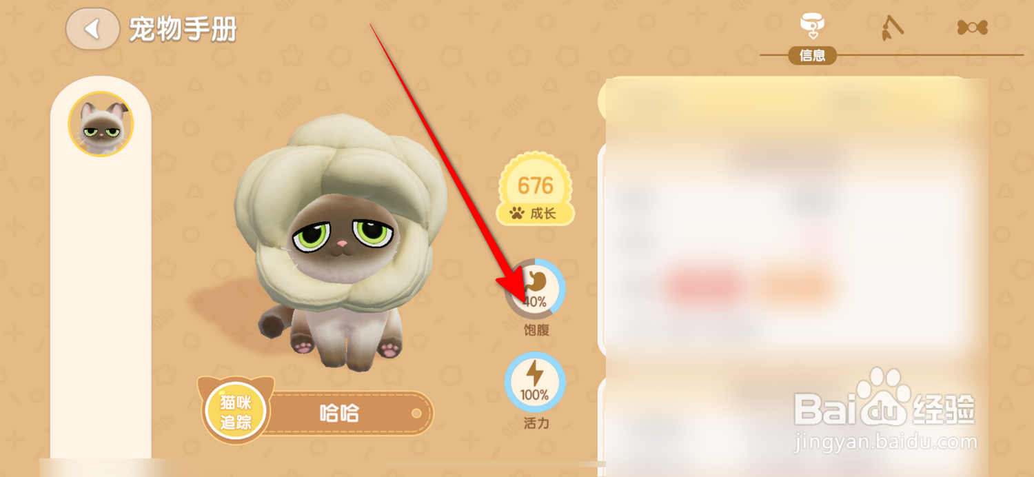 心动小镇如何查看宠物饱腹