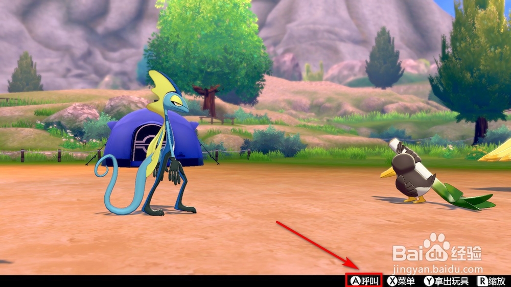 宝可梦剑盾露营组合怎么用