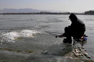 冬天如何钓沙尖鱼