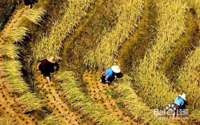 国庆低成本出游指南,避开人山人海爽快玩耍