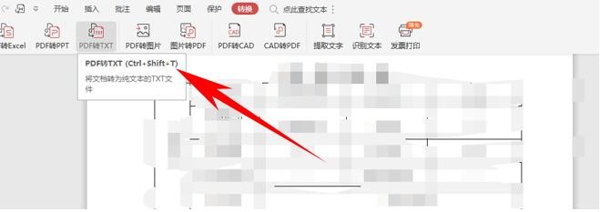 WPS如何将PDF文件转换为TXT文件