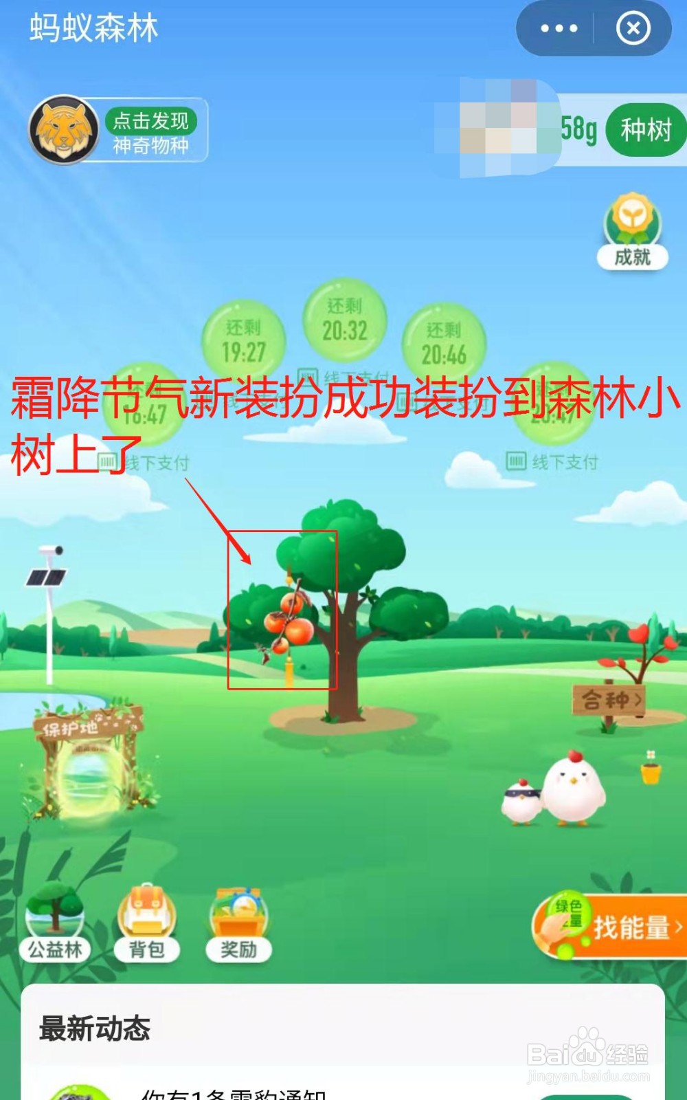 蚂蚁森林小树如何获得霜降节气装扮