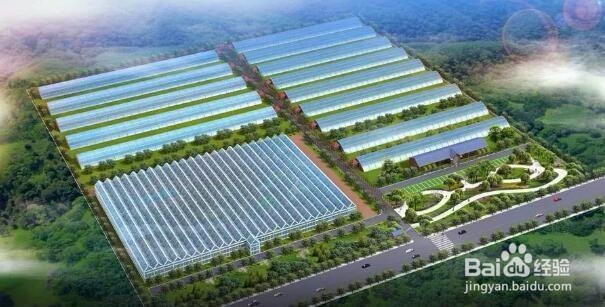 如何发展产业园