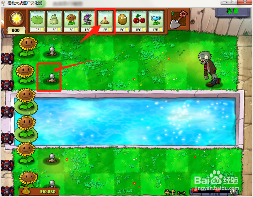 植物的种子旅行方法