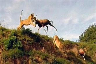 如何面对不公平