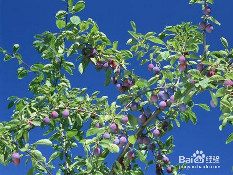如何从人体表面发现病症并且对症下药