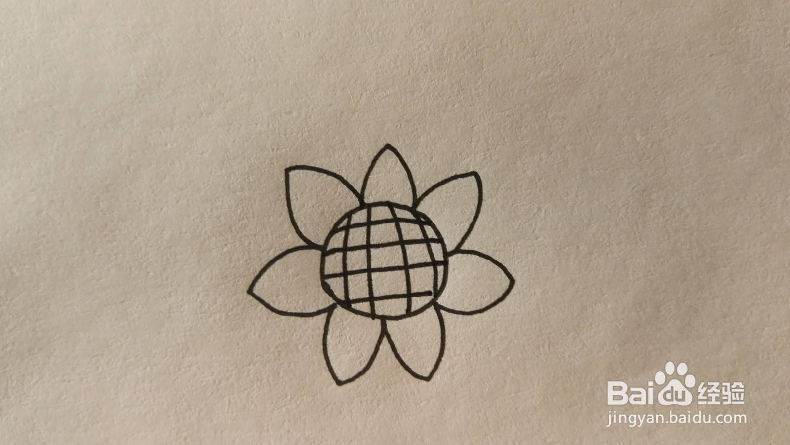 #经验分享官#向日葵简笔画