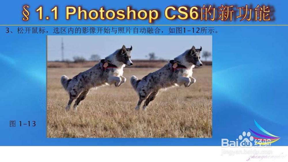 Photoshop新增的修饰和变换功能