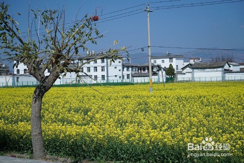 关于云南大理旅游攻略的几点建议