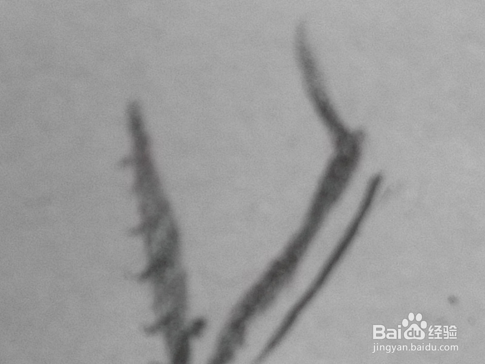 原创动漫人物的眼睛十二