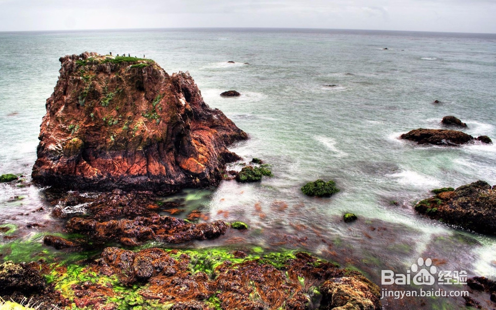 基础偏弱 怎么选择考研英语书