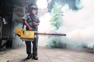 登革热的症状有哪些