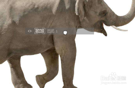 Photoshop如何制作裂痕大象