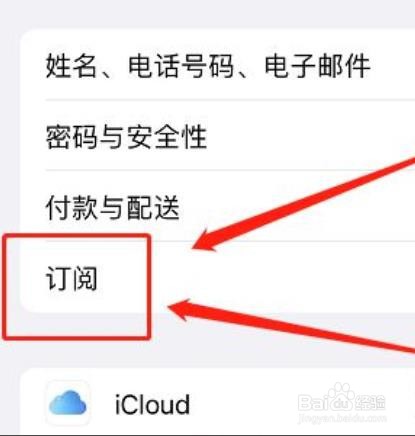 苹果手机怎么看订阅付费