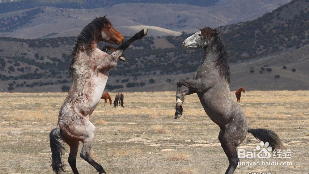 职场中要注意的几个问题