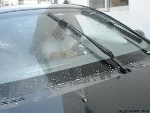 开车应该注意的小细节