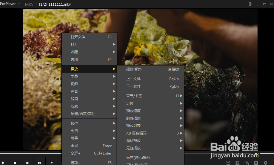 怎么使用完美解码器的书签功能
