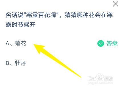 蚂蚁庄园：寒露百花凋，哪种花会在寒露时节盛开