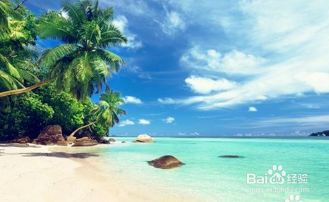 提高免疫力的方法有哪些