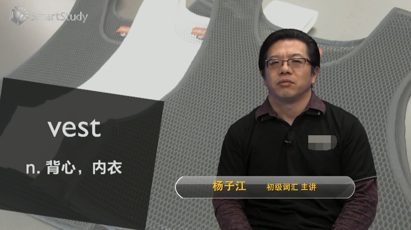 vest是什么意思